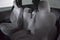 2019 Toyota Sienna LE Auto Access Seat