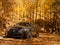 2023 Lexus IS IS 350 F SPORT