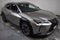 2019 Lexus UX UX 250h