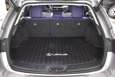 2019 Lexus UX UX 250h