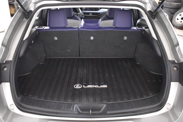 2019 Lexus UX UX 250h