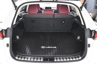 2021 Lexus NX NX 300h