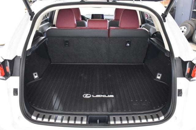 2021 Lexus NX NX 300h